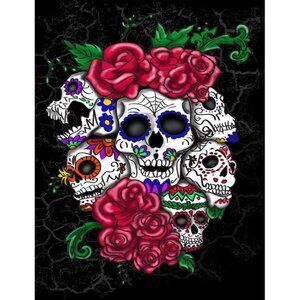 New Six Skulls & Roses Plush Throw Gift Blanket Sherpa Ardras Day of the Dead